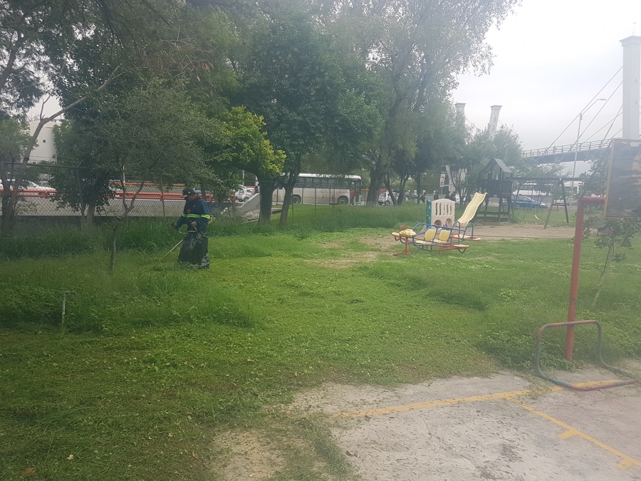 JARDINERIA