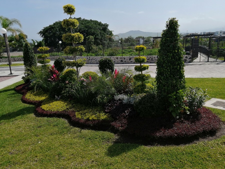 jardines
