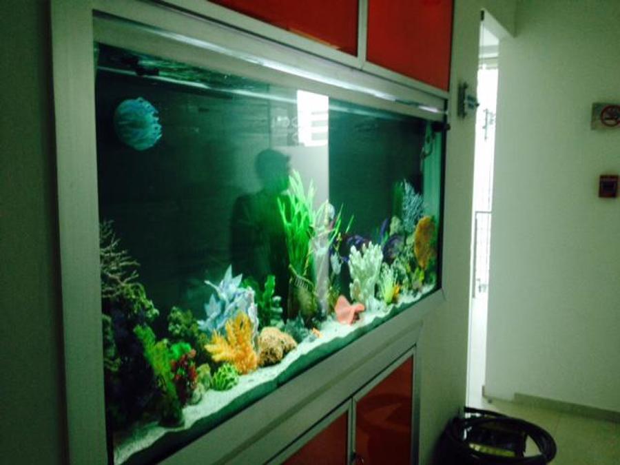 lateral desde la entrada.