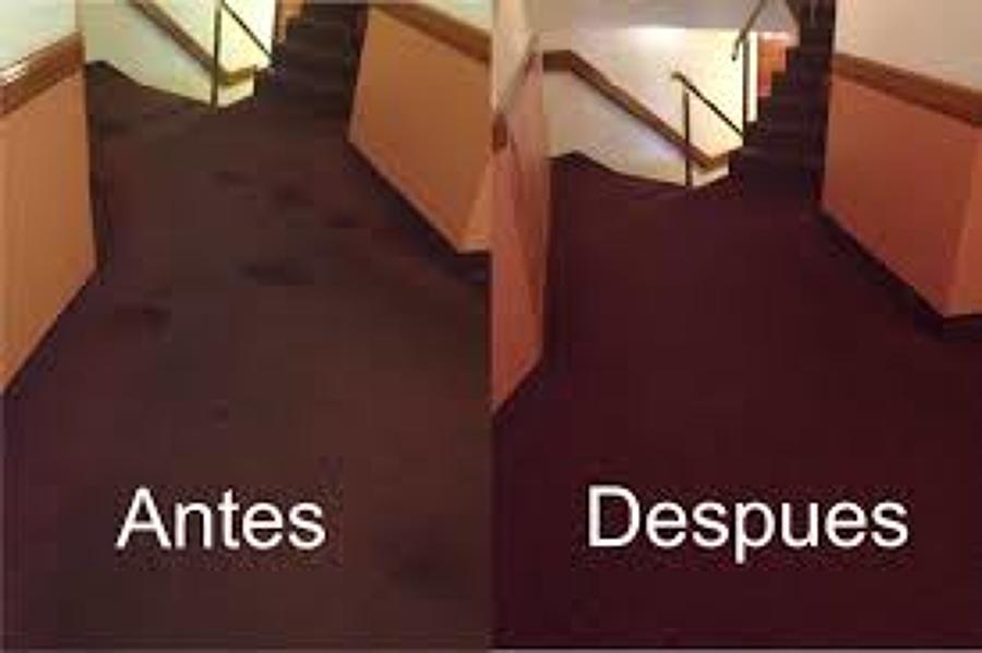 Lavado de alfombras