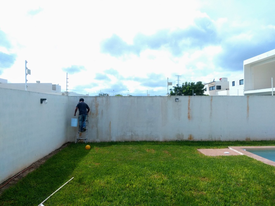 Lavado y cepillado con hipoclorito