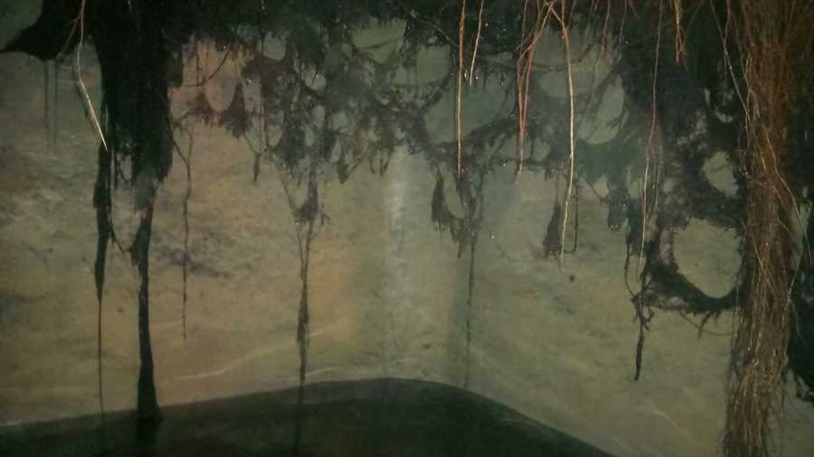 Limpieza de Cisternas