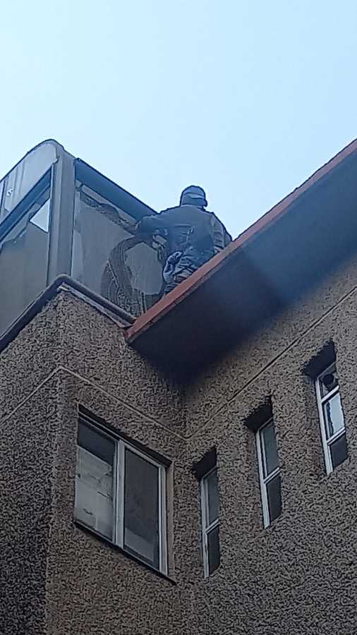 limpieza de domo