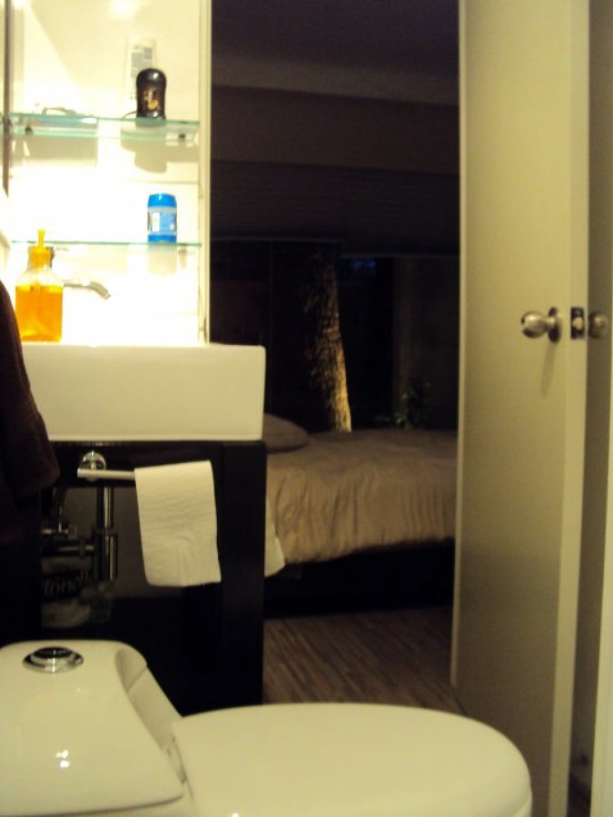 Loft Miguel Laurent.
