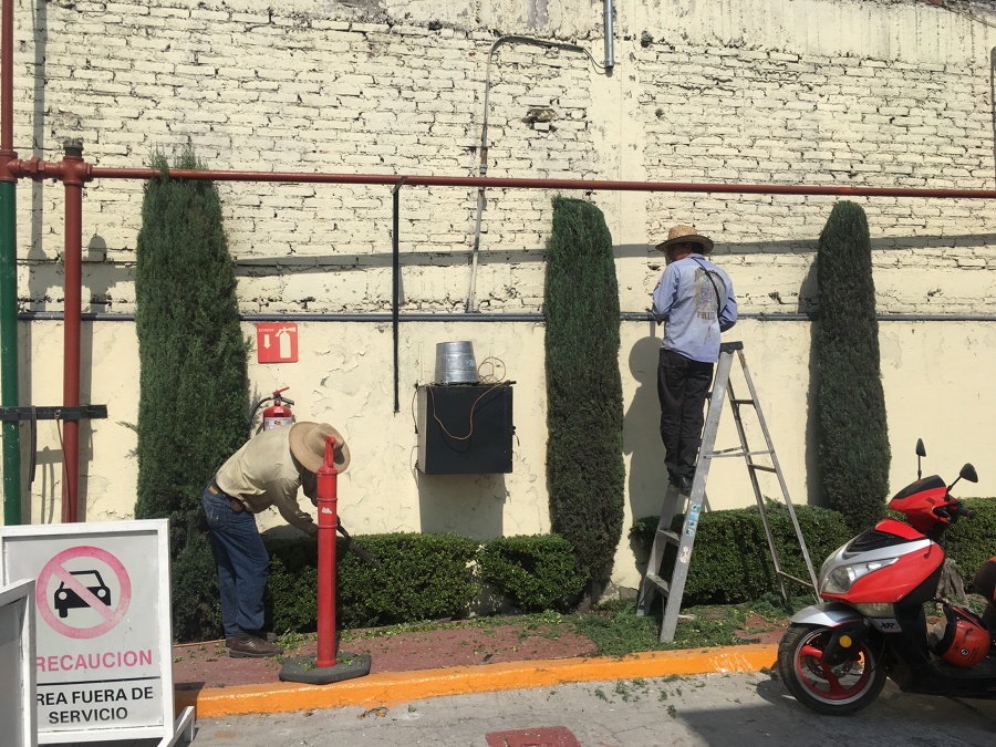Mantenimiento a árboles.