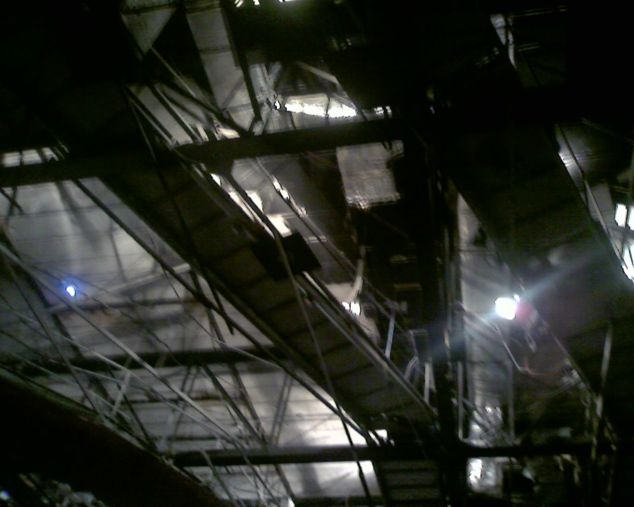 Mantenimiento a pasos de gato