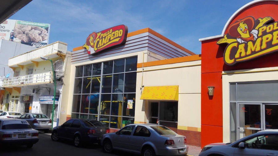 MANTENIMIENTO A POLLO CAMPERO