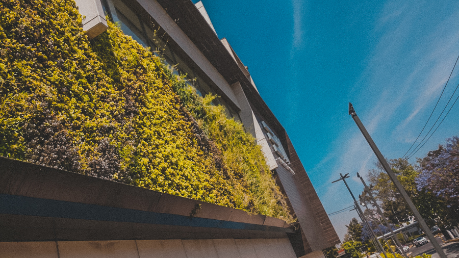 MANTENIMIENTO CENTRO COMERCIAL EL TRANGULO