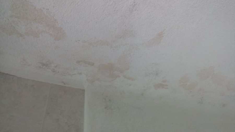 Mantenimiento de aplanados en muros y losas