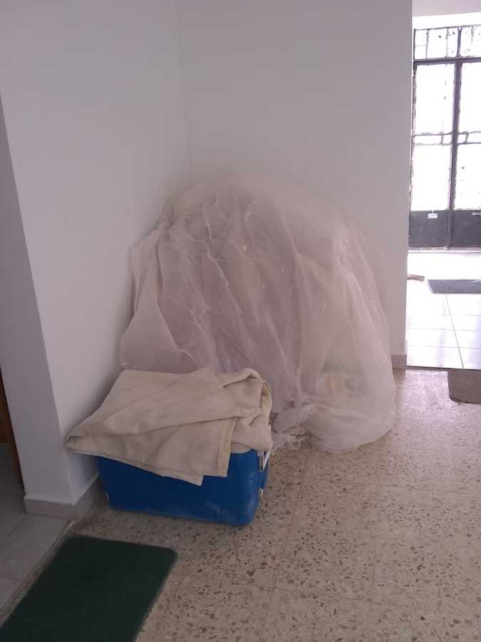 Mantenimiento de aplanados en muros y losas