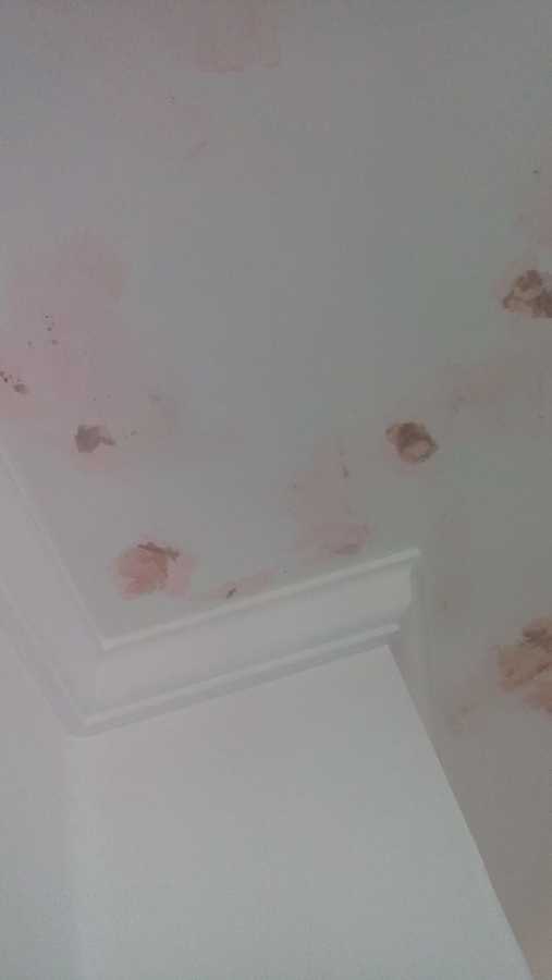 Mantenimiento de aplanados en muros y losas