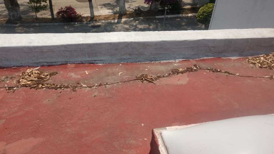 Mantenimiento de azotea / impermeabilizante.