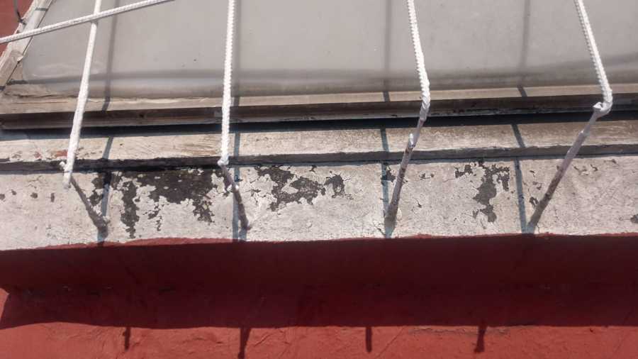 Mantenimiento de azotea / impermeabilizante.