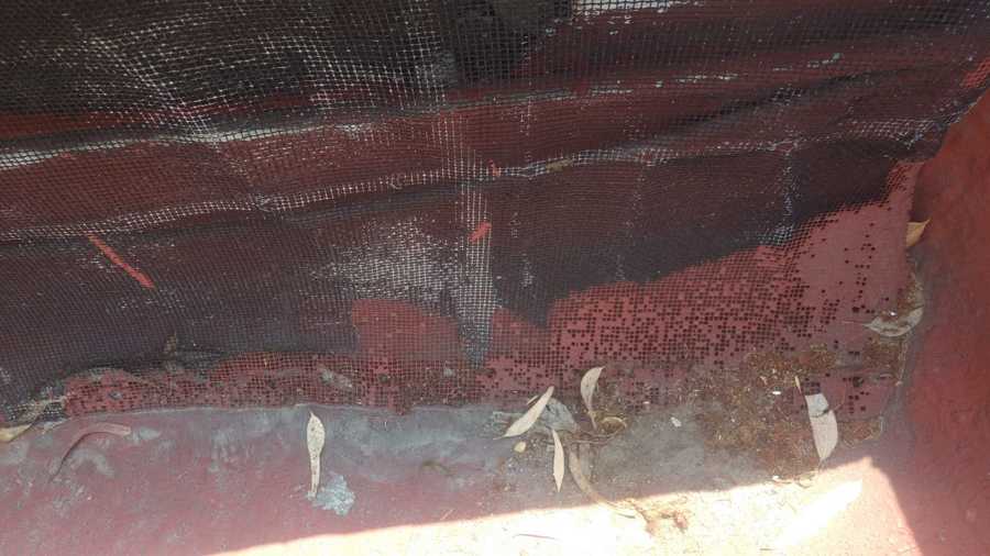 Mantenimiento de azotea / impermeabilizante.