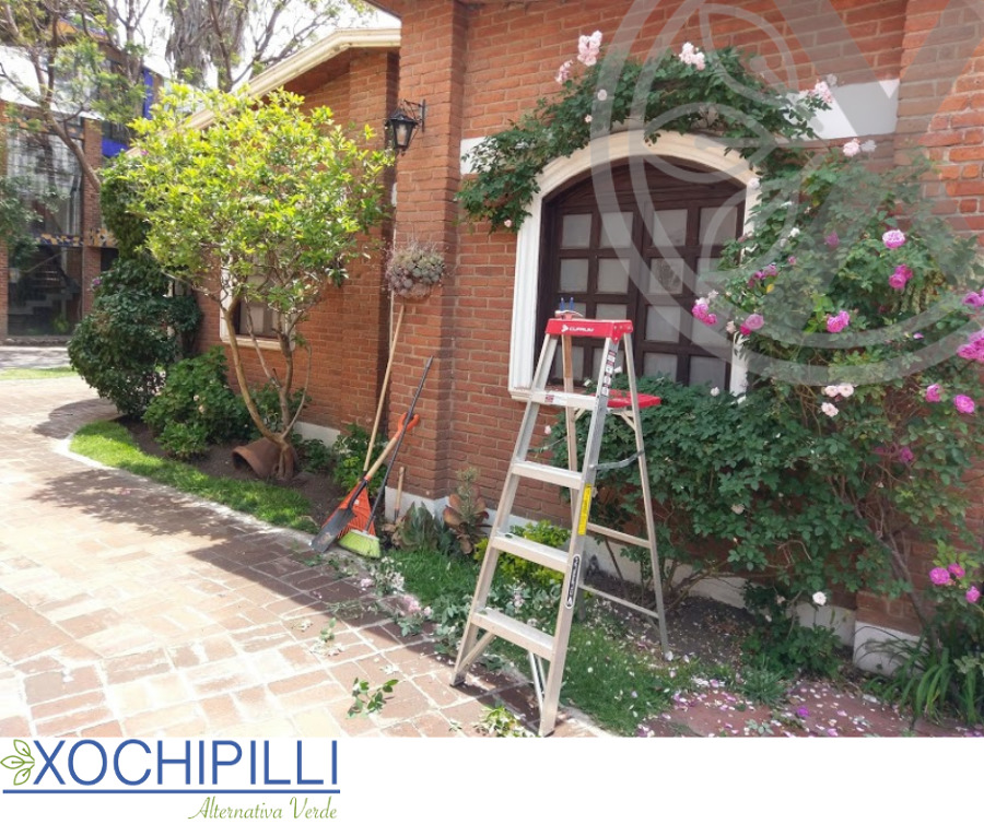 Mantenimiento de jadines