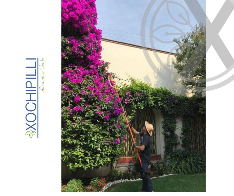 Mantenimiento de jardines