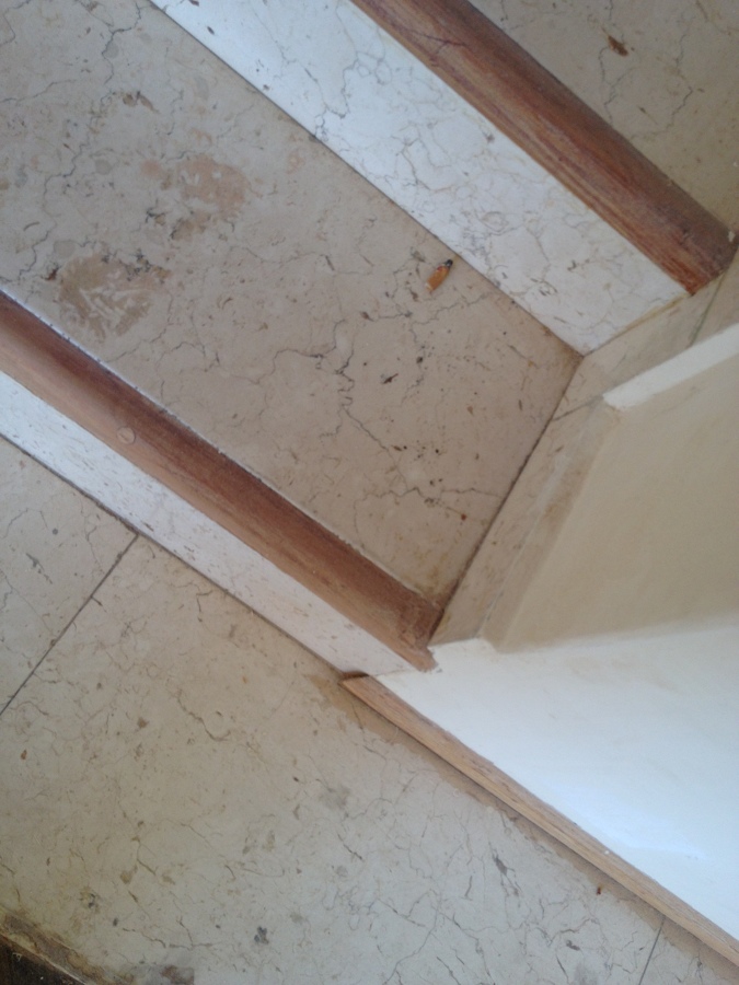 mantenimiento en pisos de madera