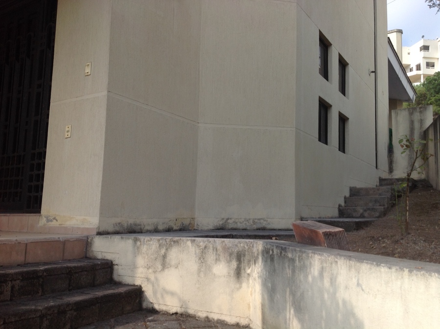 Mohos en cordones y paredes