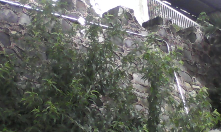 MUESTRA DEL ENTUBADO