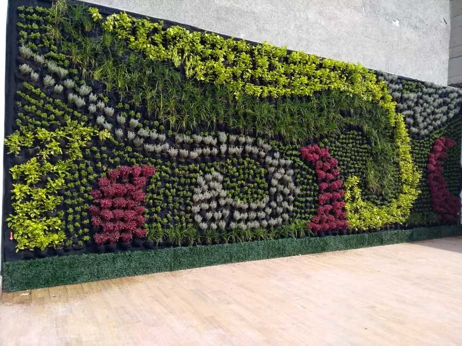 Muro verde terminado