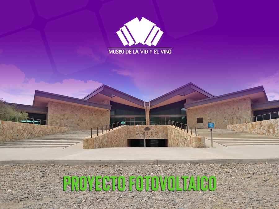 Museo de la Vid y el vino
