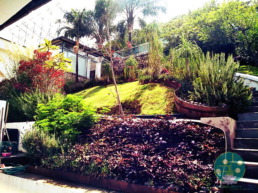 Paleta de Color Natura