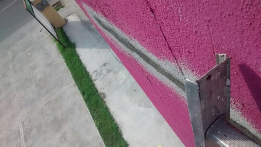 Pared