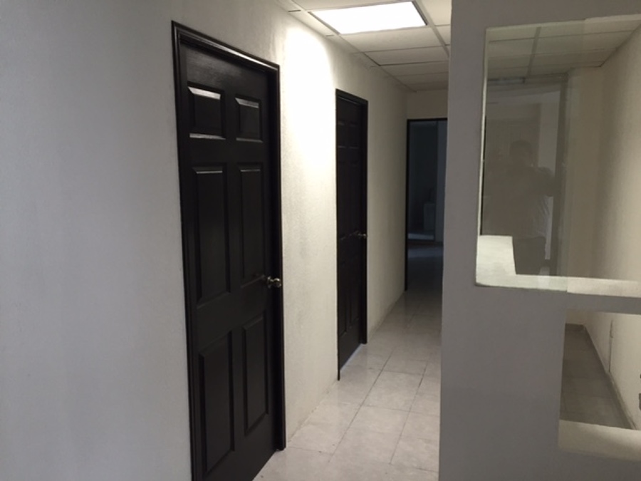 Pasillo de acceso y recepción