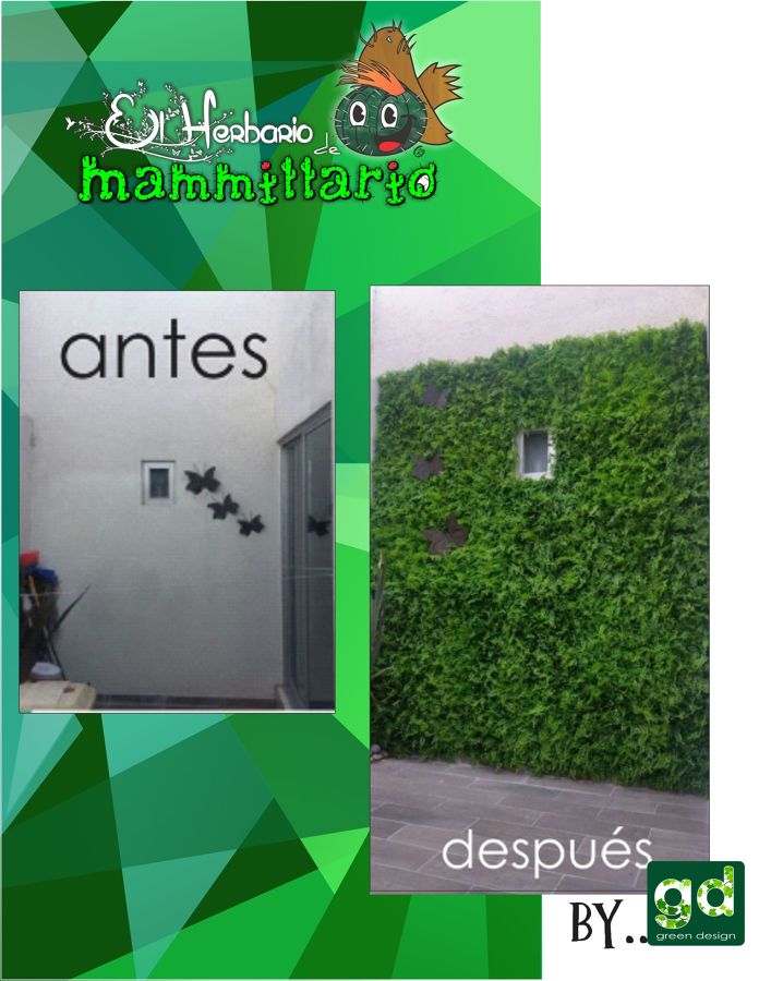 Muro Verde | Ideas Decoración