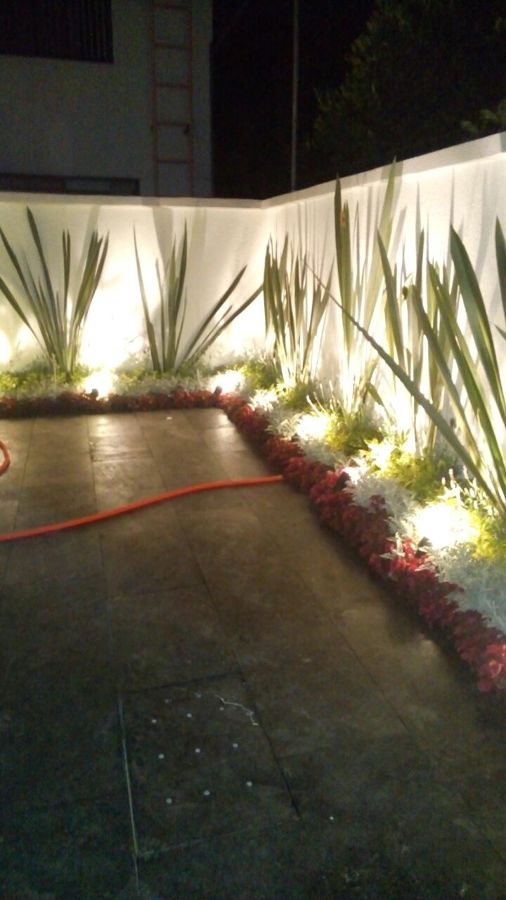 PATIO TRASERO