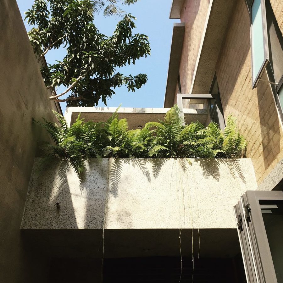 PATIOS INTERIORES