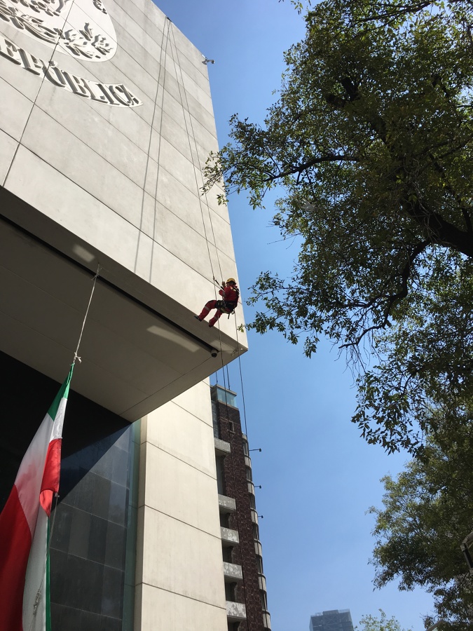 Pendones del Senado de la Republica