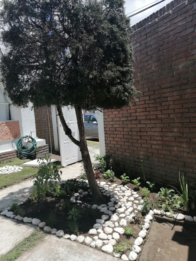 Pequeño jardín comestible