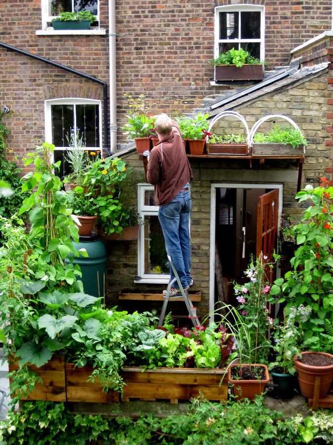 picking-salad
