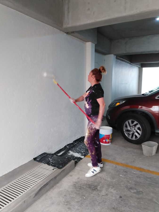 PINTORES PROFESIONALES