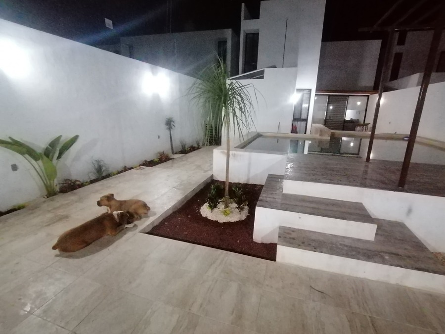 Piscina Cholul
