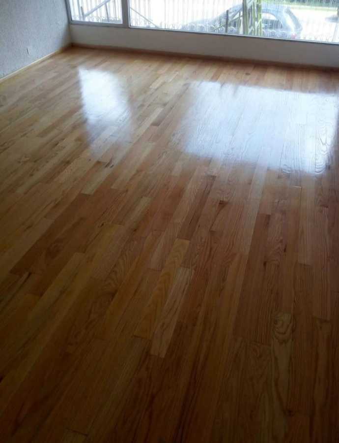 Piso de madera: oficina 1