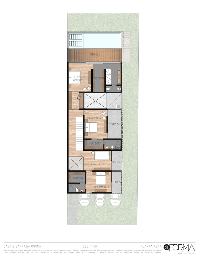 Planta alta