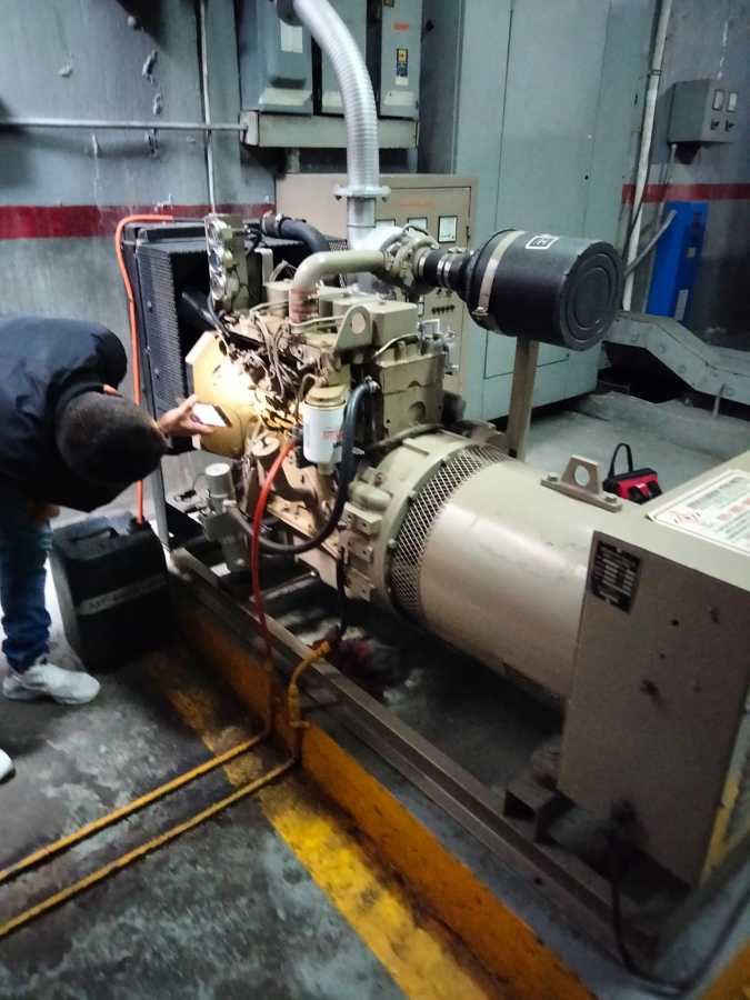 Planta de emergencia