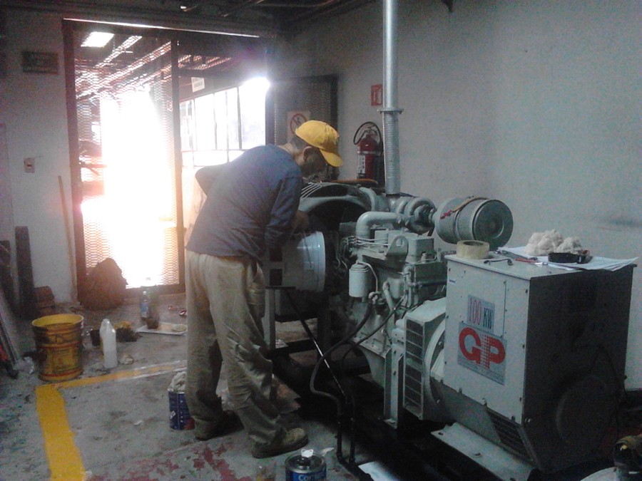 Planta Emergencia