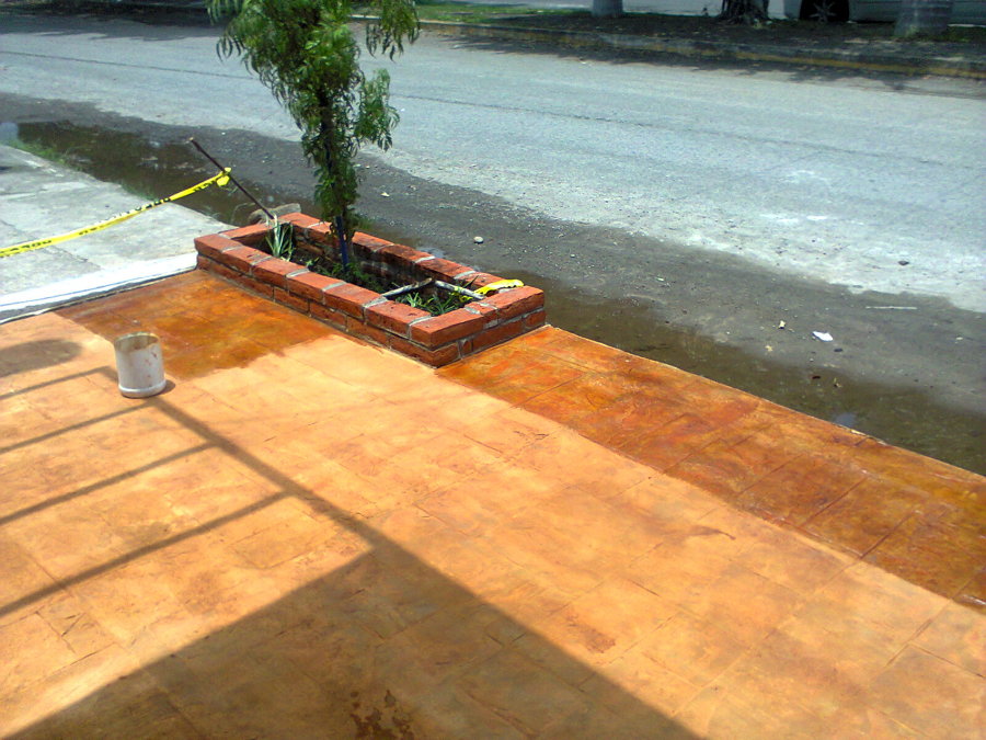 Proceso de Barnizado