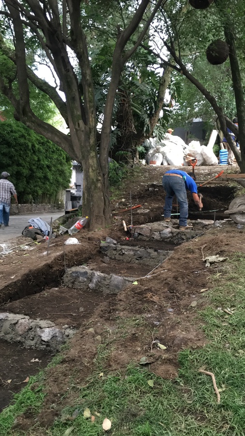 Proceso jardinn