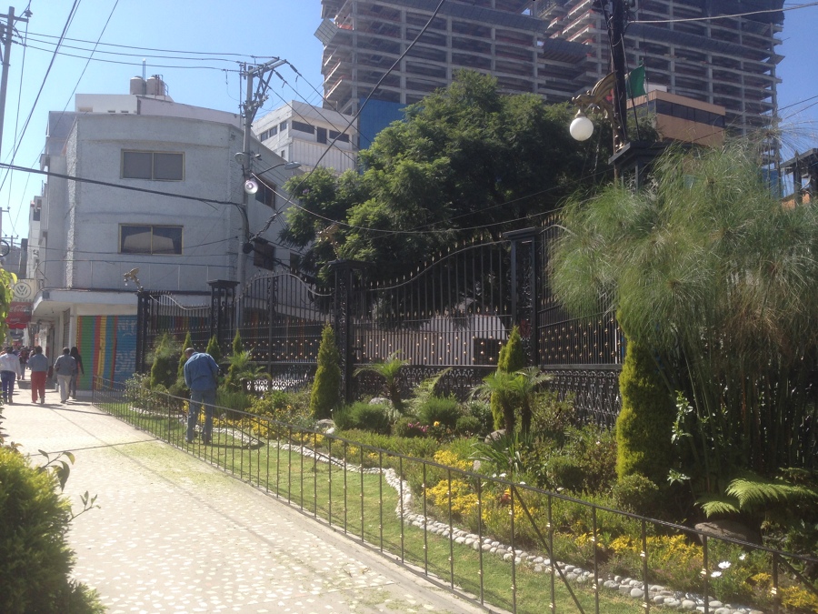 Proteccion Naucalpan