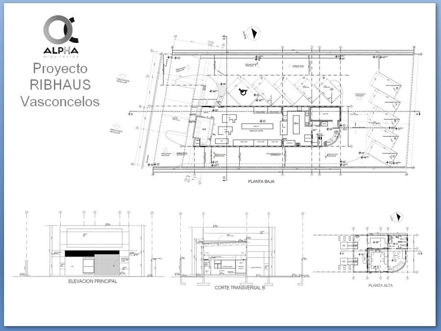 Proyecto