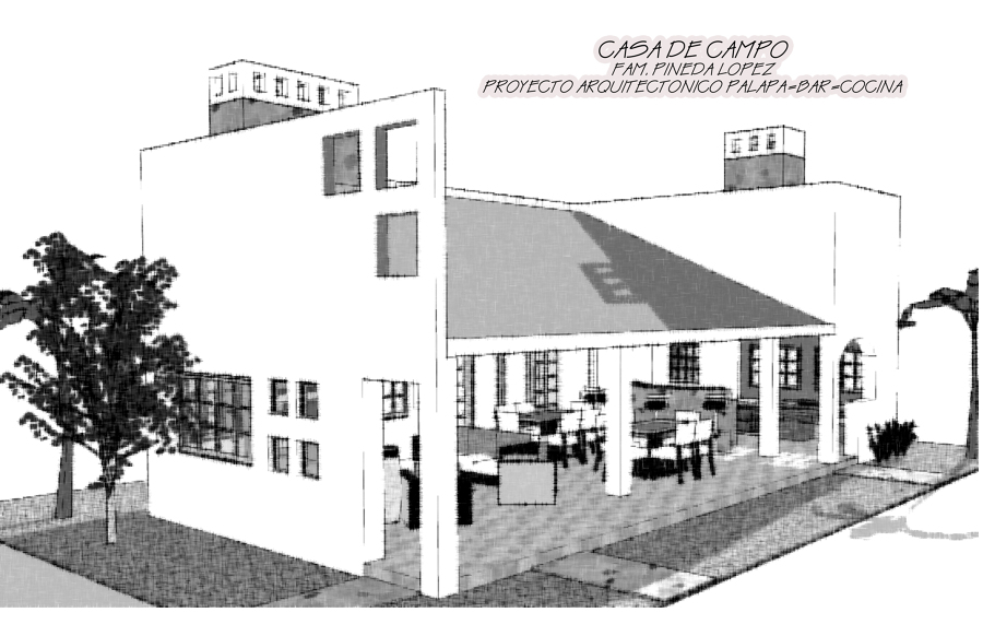 Proyecto Palapa Presa de la Boca