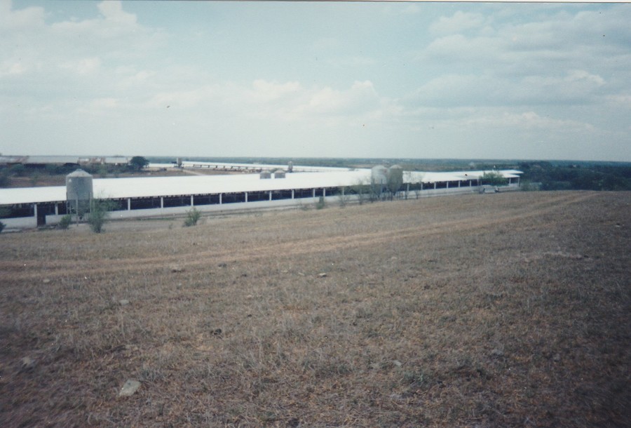 Referencia a distancia de trabajo terminado
