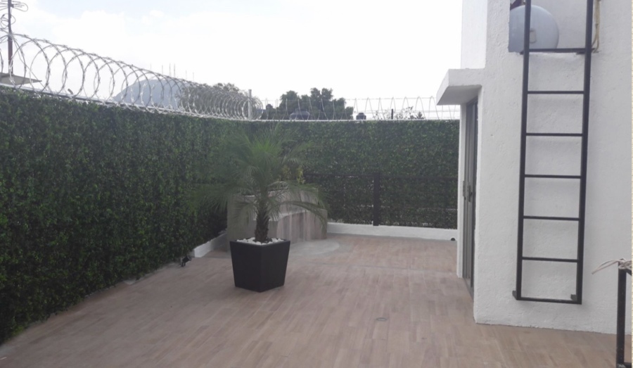 Remodelación Roof Garden