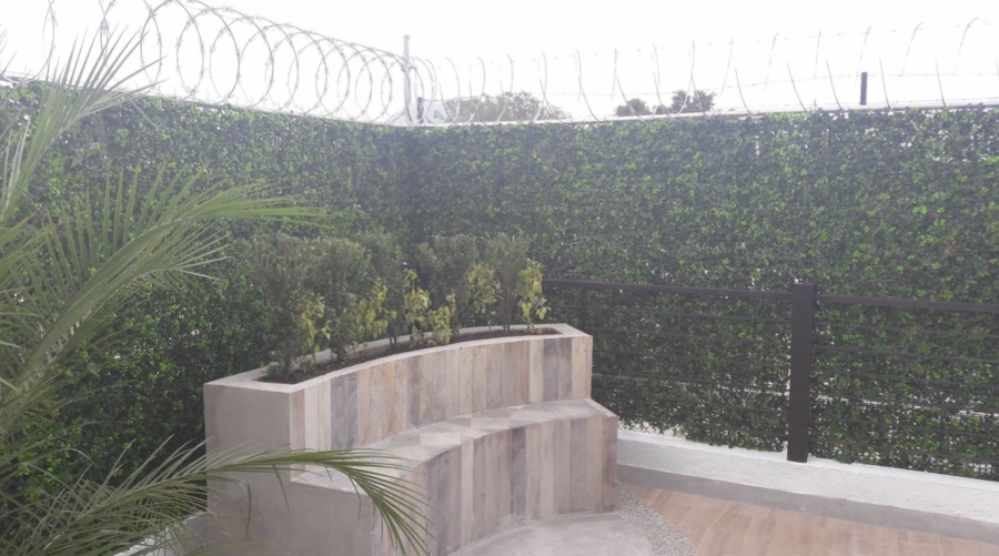 Remodelación Roof Garden