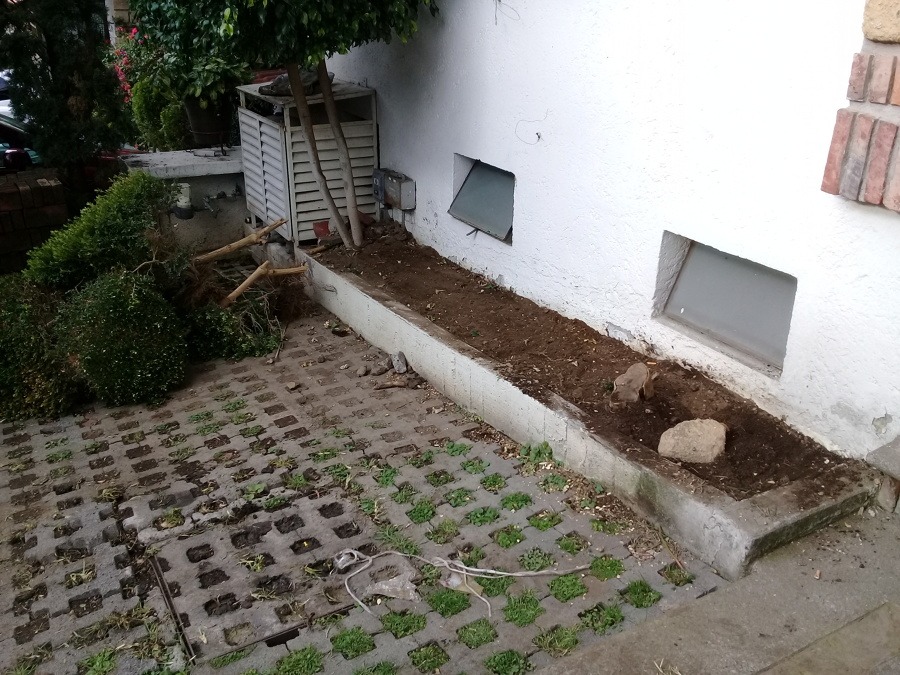 Retiro de plantas indeceables