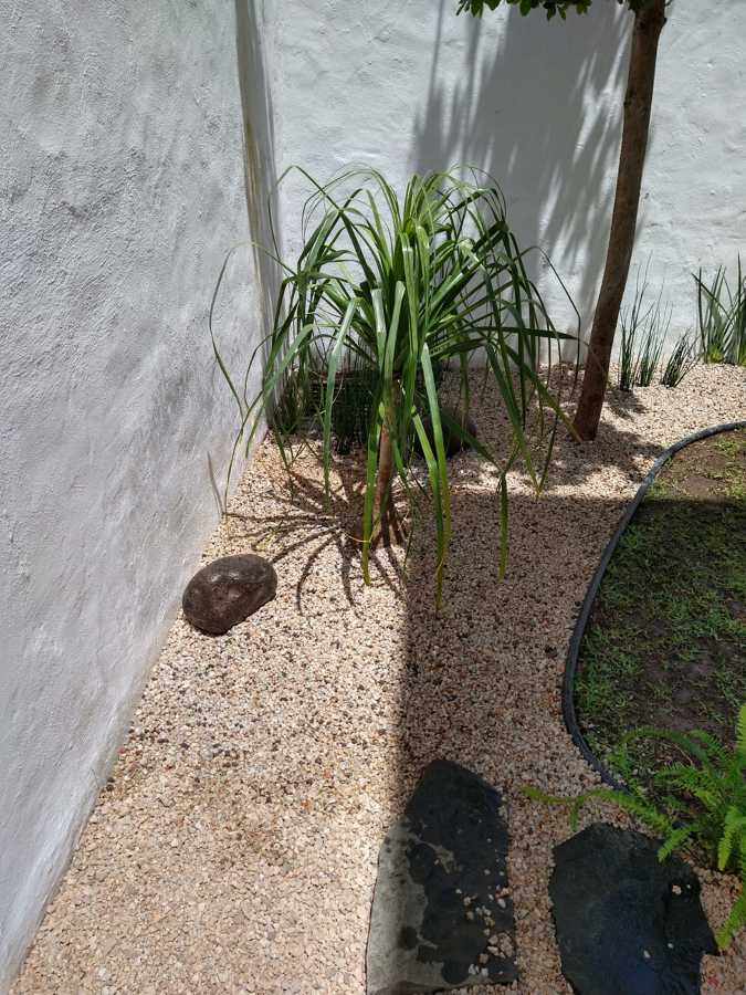 Rocas, gravilla y lajas